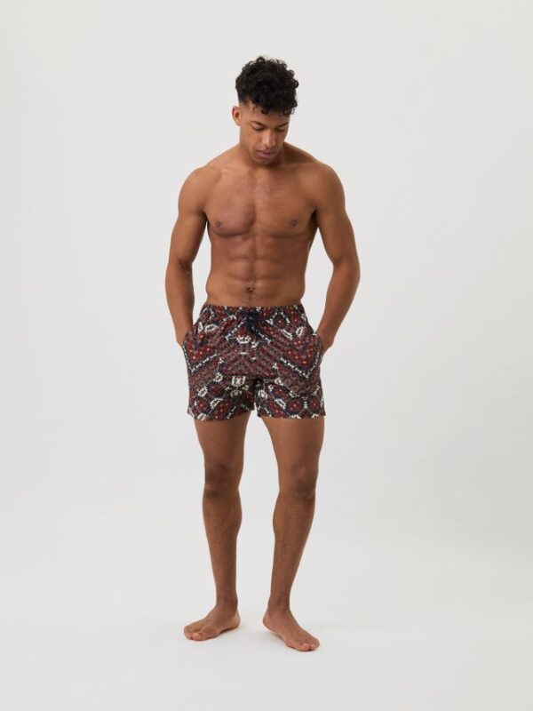 Køb BORG PRINT SWIM SHORTS