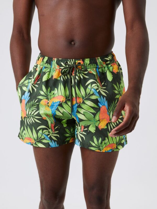 Køb BORG PRINT SWIM SHORTS