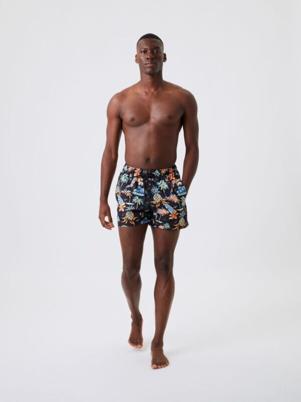 Køb BORG PRINT SWIM SHORTS