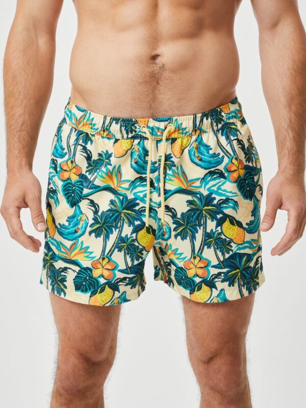 Køb BORG PRINT SWIM SHORTS