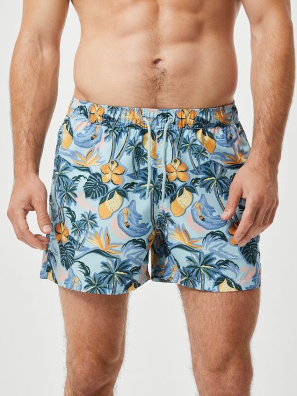 Køb BORG PRINT SWIM SHORTS