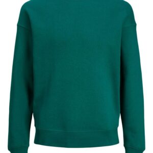 Køb JJESTAR BASIC SWEAT CREW NECK NOOS billigt online tilbud