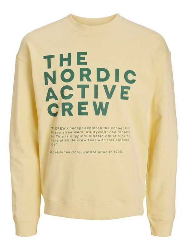 Køb JCOVIBES SWEAT CREW NECK billigt online tilbud