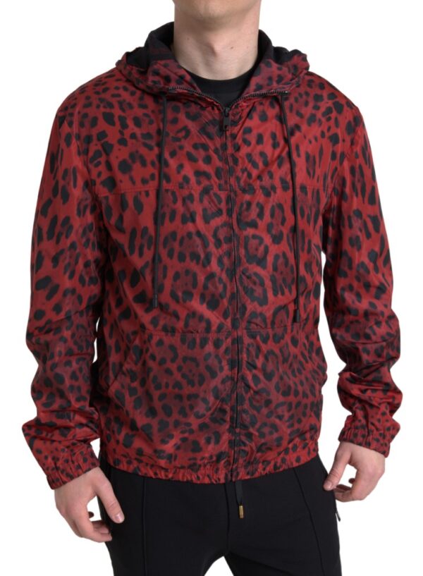 Køb Dolce & Gabbana Rød Leopard Bomber Jakke & Frakke billigt online tilbud