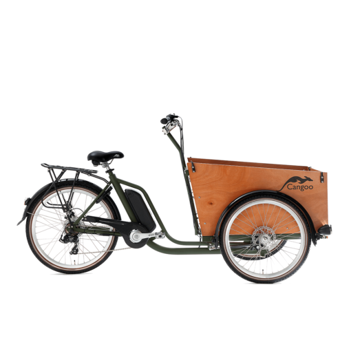 Køb Cangoo Easy-E El-ladcykel med frontlåge - Grøn online billigt tilbud rabat legetøj