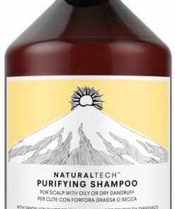 shop Davines NaturalTech Purifying Shampoo 250 ml af Davines - online shopping tilbud rabat hos shoppetur.dk