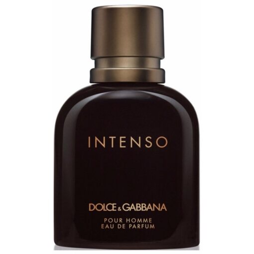 shop Dolce & Gabbana Intenso EDP Men 75 ml af Dolce & Gabbana - online shopping tilbud rabat hos shoppetur.dk