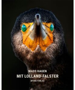 shop Mit Lolland-Falster - Hardback af  - online shopping tilbud rabat hos shoppetur.dk