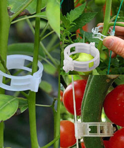 Køb Clips som støtter dine planter online billigt tilbud rabat online shopping