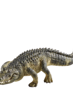 Køb Schleich Alligator - 14727 online billigt tilbud rabat legetøj