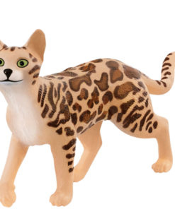 Køb Schleich Bengalsk Kat - 13918 online billigt tilbud rabat legetøj