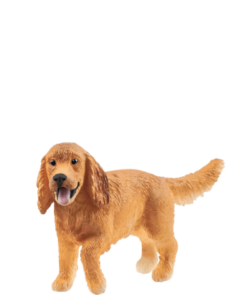 Køb Schleich Engelsk Cocker Spaniel - 13896 online billigt tilbud rabat legetøj