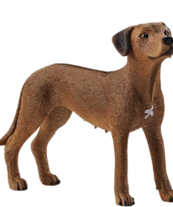 Køb Schleich Rhodesian Ridgeback Hund - 13895 online billigt tilbud rabat legetøj