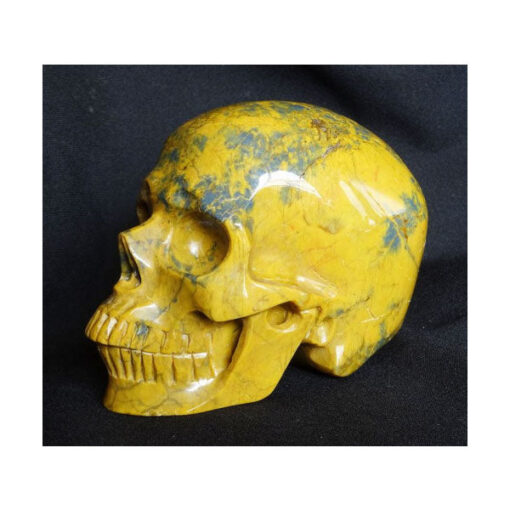 Køb The skull carved into Pietersite crystal online billigt tilbud rabat online shopping