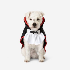 costume for pets gadget flying tiger copenhagen 260205