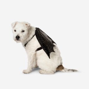 costume for pets gadget flying tiger copenhagen 612580