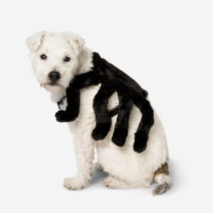 costume for pets gadget flying tiger copenhagen 710950