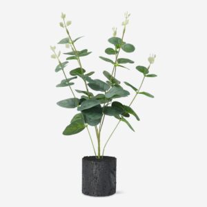 decorative plant home flying tiger copenhagen 600646