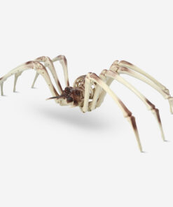 Spider skeleton køb billigt tilbud online shopping rabat