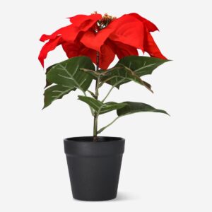 test home flying tiger copenhagen 383648