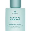 Alterna my hair my canvas soaring high volumizing blowout mist with botanical caviar 148ml online shopping billigt tilbud shoppetur