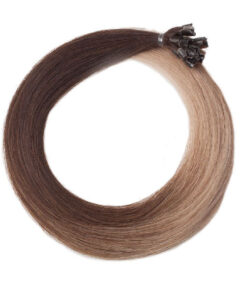 Rapunzel of sweden quick & easy premium hair extensions T3/14 ombre 40cm online shopping billigt tilbud shoppetur