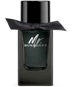 shop Burberry Mr. Burberry EDP 100 ml af Burberry - online shopping tilbud rabat hos shoppetur.dk