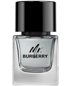 shop Burberry Mr. Burberry For Him EDT 50 ml af Burberry - online shopping tilbud rabat hos shoppetur.dk