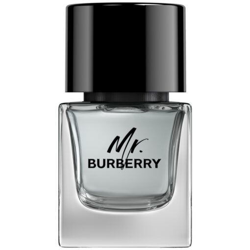 shop Burberry Mr. Burberry For Him EDT 50 ml af Burberry - online shopping tilbud rabat hos shoppetur.dk