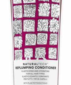 shop Davines NaturalTech Replumping Conditioner 150 ml af Davines - online shopping tilbud rabat hos shoppetur.dk