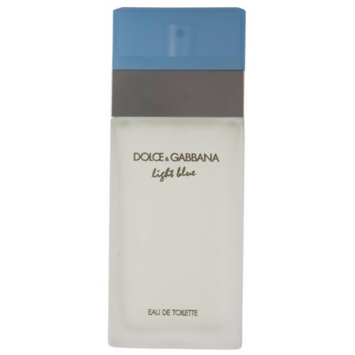 shop Dolce & Gabbana Light Blue Femme EDT 100 ml af Dolce & Gabbana - online shopping tilbud rabat hos shoppetur.dk