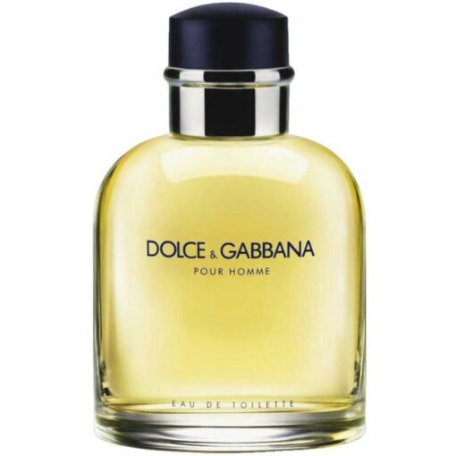 shop Dolce & Gabbana Pour Homme EDT 75 ml af Dolce & Gabbana - online shopping tilbud rabat hos shoppetur.dk