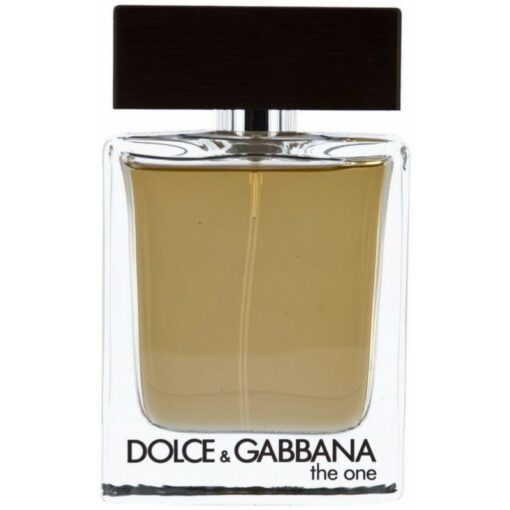 shop Dolce & Gabbana The One EDT Men 100 ml af Dolce & Gabbana - online shopping tilbud rabat hos shoppetur.dk