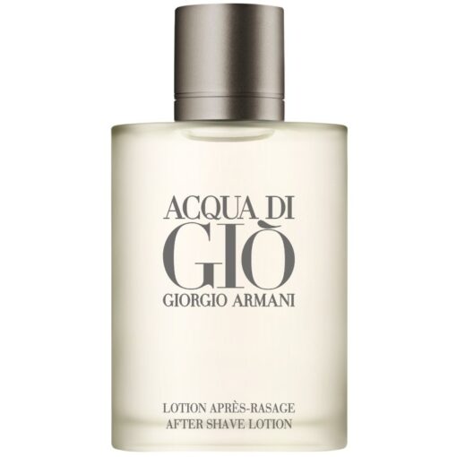 shop Giorgio Armani Acqua Di Gio Pour Homme After Shave Lotion 100 ml af Armani - online shopping tilbud rabat hos shoppetur.dk