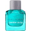 shop Hollister Canyon Rush Him EDT 100 ml af Hollister - online shopping tilbud rabat hos shoppetur.dk