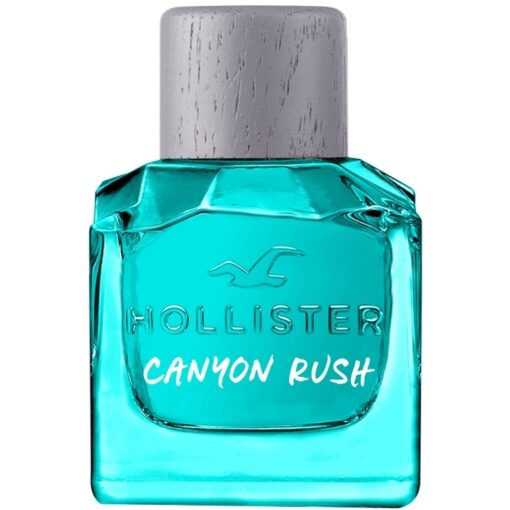 shop Hollister Canyon Rush Him EDT 100 ml af Hollister - online shopping tilbud rabat hos shoppetur.dk