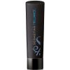 shop Sebastian Trilliance Shine Shampoo 250 ml af Sebastian - online shopping tilbud rabat hos shoppetur.dk