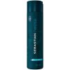 shop Sebastian Twisted Shampoo 250 ml af Sebastian - online shopping tilbud rabat hos shoppetur.dk