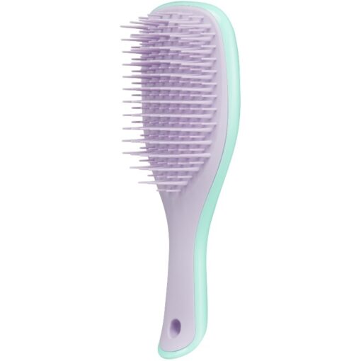 shop Tangle Teezer Wet Detangling Brush Mini - Wisteria Leaf af Tangle Teezer - online shopping tilbud rabat hos shoppetur.dk