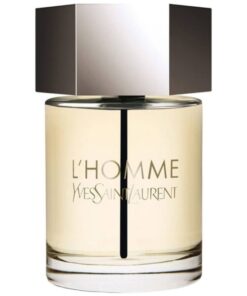 shop YSL L'Homme EDT 100 ml af Yves Saint Laurent - online shopping tilbud rabat hos shoppetur.dk