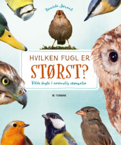 shop Hvilken fugl er størst? - Hardback af  - online shopping tilbud rabat hos shoppetur.dk