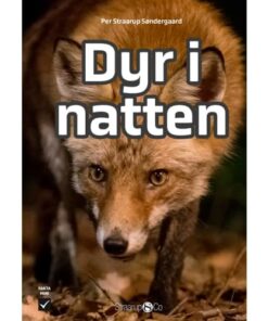 shop Dyr i natten - Mini - Hardback af  - online shopping tilbud rabat hos shoppetur.dk