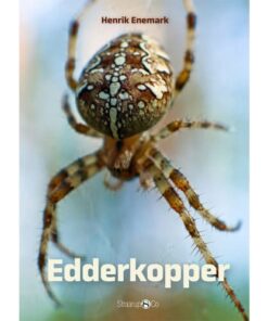 shop Edderkopper - Spil & Læs - Hardback af  - online shopping tilbud rabat hos shoppetur.dk