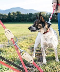 Hundesnor 2 meter m/karabinhage i krom - Rund - ø1 cm - billigt køb tilbud online shopping