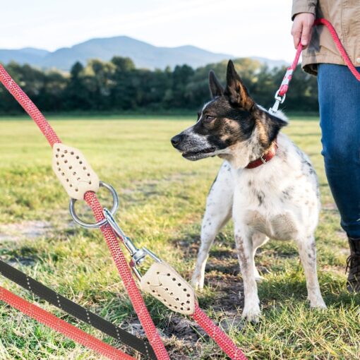 Hundesnor 2 meter m/karabinhage i krom - Rund - ø1 cm - billigt køb tilbud online shopping