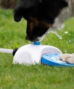 Hunde Vandfontæne/Springvand billigt køb tilbud online shopping