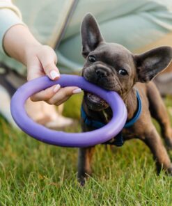 Hunde Anti-Bide træningsring ø9 cm af gummi - ass. farver - billigt køb tilbud online shopping