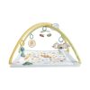 shop Fisher-Price aktivitetstæppe - Simply Senses af Fisher-Price - online shopping tilbud rabat hos shoppetur.dk
