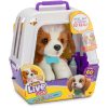 shop Little Live Pets My Really Real Puppy - Patches af Little Live Pets - online shopping tilbud rabat hos shoppetur.dk