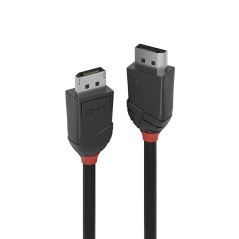 Lindy 0.5M Displayport 1.2 Cable